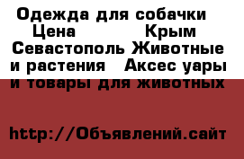 Одежда для собачки › Цена ­ 1 200 - Крым, Севастополь Животные и растения » Аксесcуары и товары для животных   